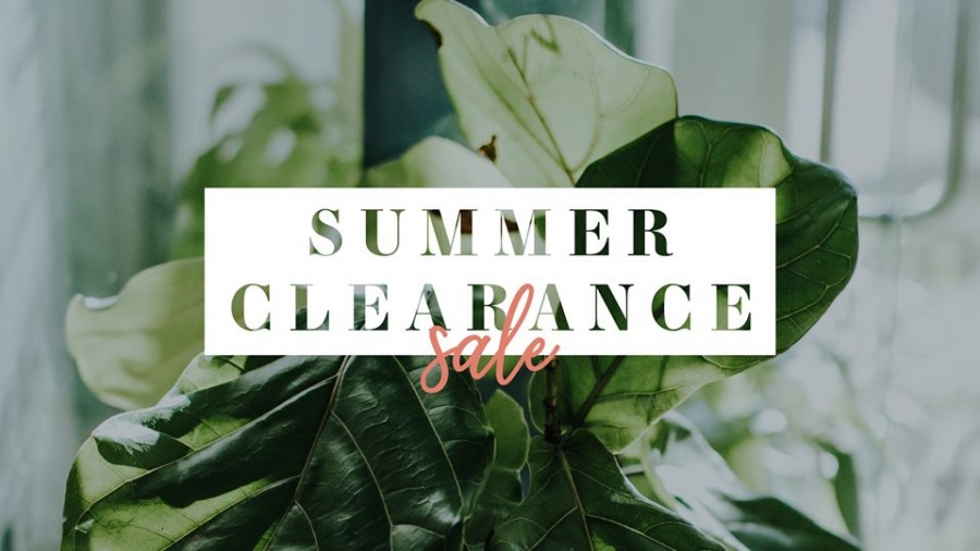 Mainstream Boutique of Sioux Falls, SD-Lake Lorraine Annual Summer Clearance Sale